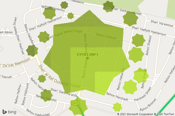 ריסוס באליכין