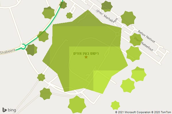 ריסוס בעין צורים