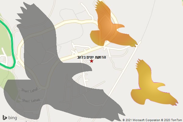 הרחקת יונים בלהב