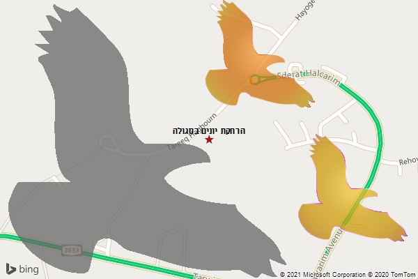 הרחקת יונים בסגולה