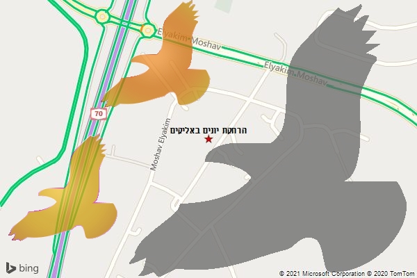 הרחקת יונים באליקים