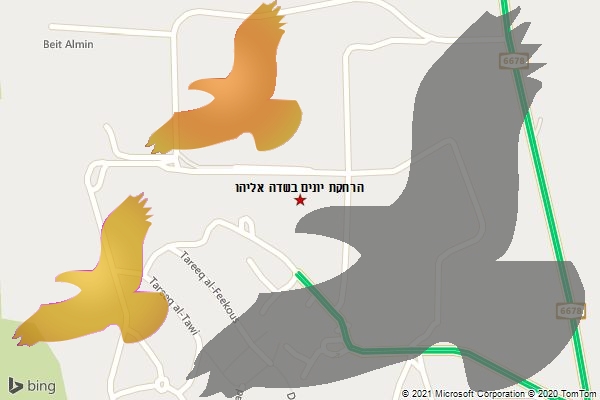 הרחקת יונים בשדה אליהו