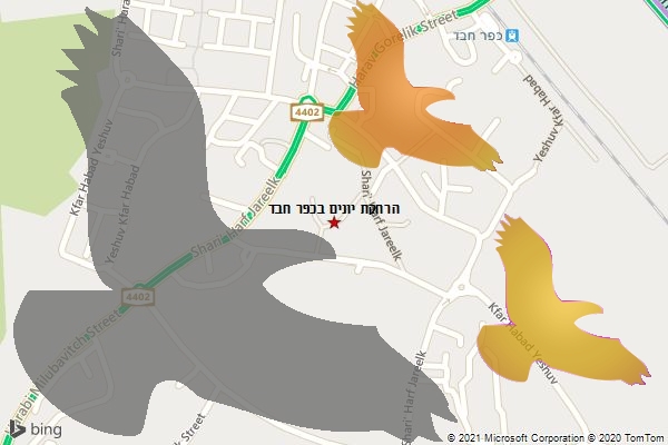 הרחקת יונים בכפר חבד