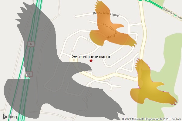 הרחקת יונים בכפר דניאל