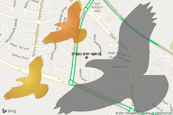 הרחקת יונים בקצרין