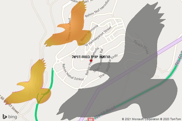 הרחקת יונים בנווה דניאל