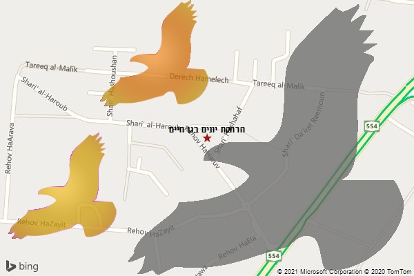 הרחקת יונים בגן חיים