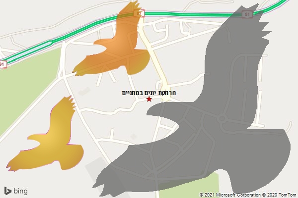 הרחקת יונים במחניים