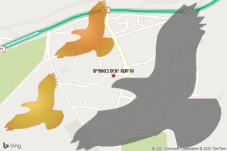 מרחיק יונים במחניים - הרחקת יונים במחניים
