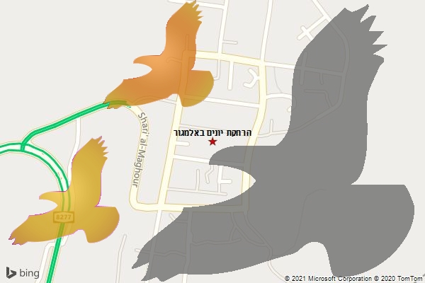 הרחקת יונים באלמגור