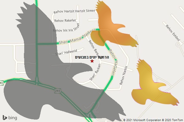 הרחקת יונים במבועים
