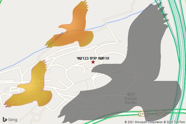 הרחקת יונים בברקאי