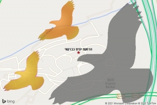 מרחיק יונים בברקאי - הרחקת יונים בברקאי