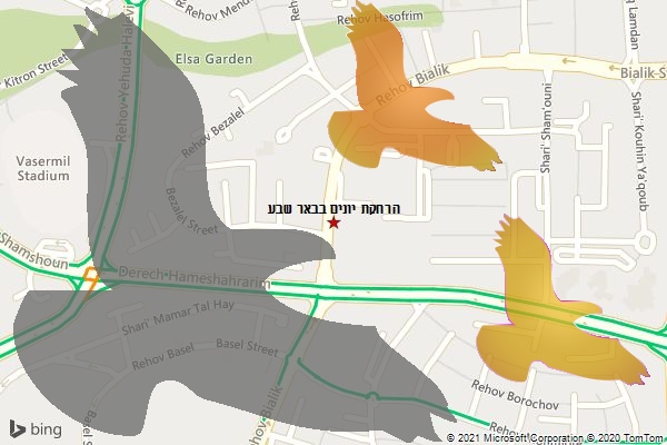 הרחקת יונים בבאר שבע
