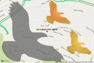 מרחיק יונים במבשרת ציון - הרחקת יונים במבשרת ציון