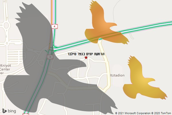 הרחקת יונים בכפר סילבר