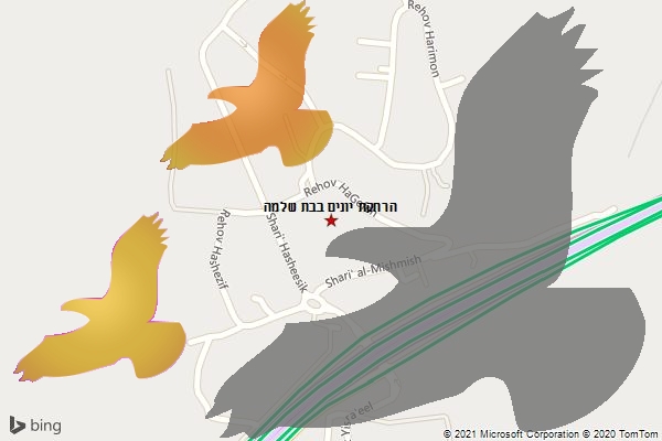 הרחקת יונים בבת שלמה