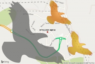 מרחיק יונים בנירית - הרחקת יונים בנירית