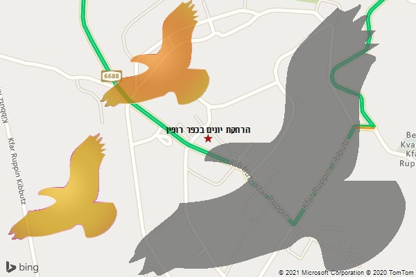 הרחקת יונים בכפר רופין