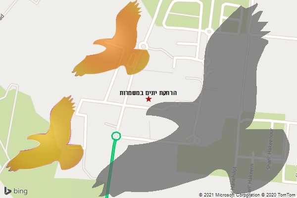 הרחקת יונים במשמרות