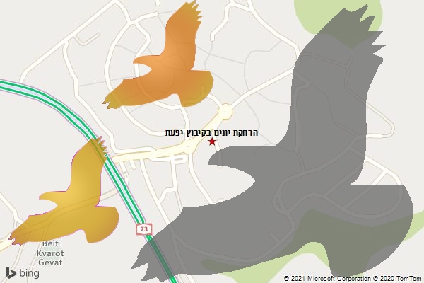 הרחקת יונים בקיבוץ יפעת