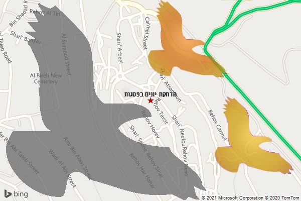 הרחקת יונים בפסגות