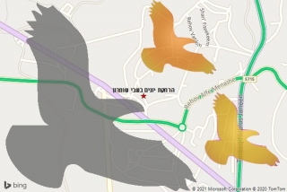 מרחיק יונים בשבי שומרון - הרחקת יונים בשבי שומרון
