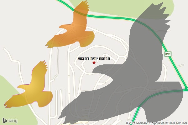 הרחקת יונים בסאסא