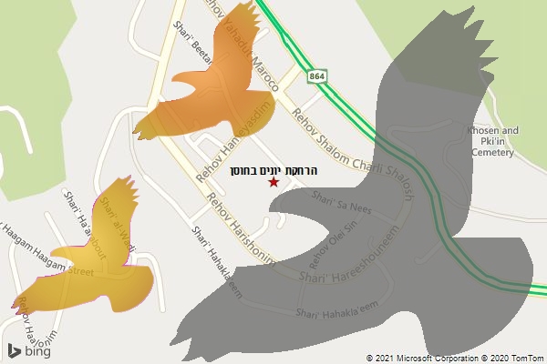 הרחקת יונים בחוסן