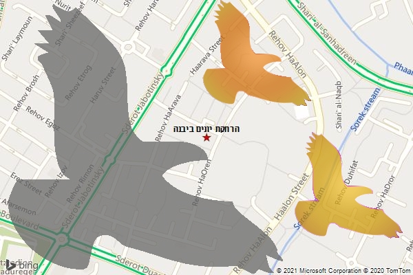 הרחקת יונים ביבנה