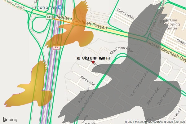 הרחקת יונים באלי על
