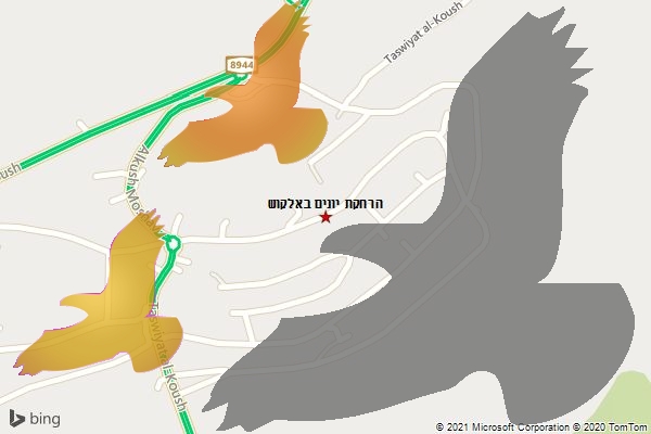 הרחקת יונים באלקוש