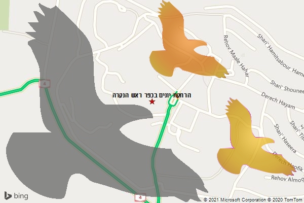 הרחקת יונים בכפר ראש הנקרה