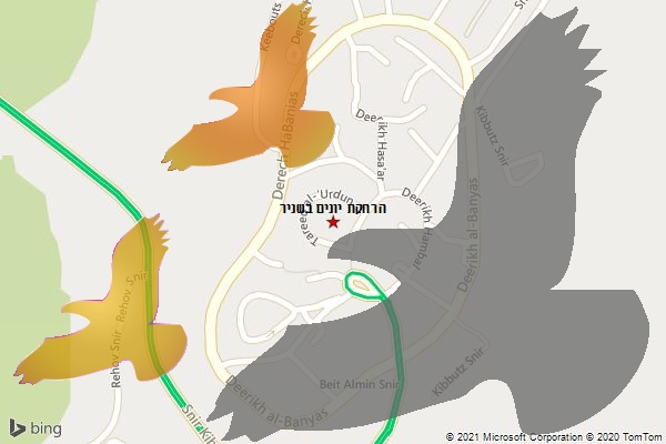 הרחקת יונים בשניר