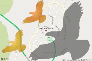 מרחיק יונים בשניר - הרחקת יונים בשניר