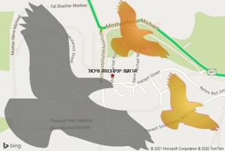 מרחיק יונים בנווה מיכאל - הרחקת יונים בנווה מיכאל