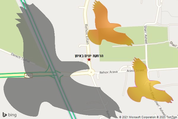 הרחקת יונים באיתן