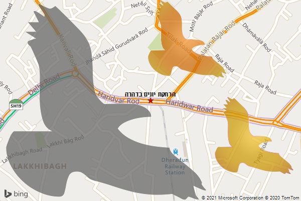 הרחקת יונים בדהרה