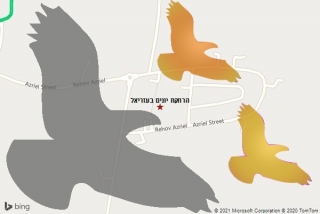 מרחיק יונים בעזריאל - הרחקת יונים בעזריאל