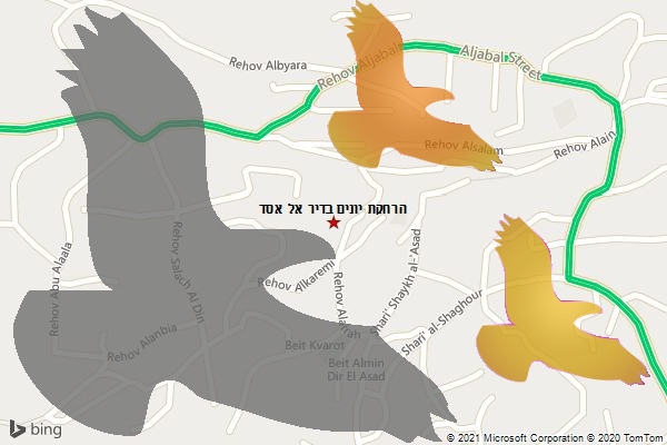 הרחקת יונים בדיר אל אסד