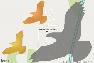 מרחיק יונים בעמיעד - הרחקת יונים בעמיעד