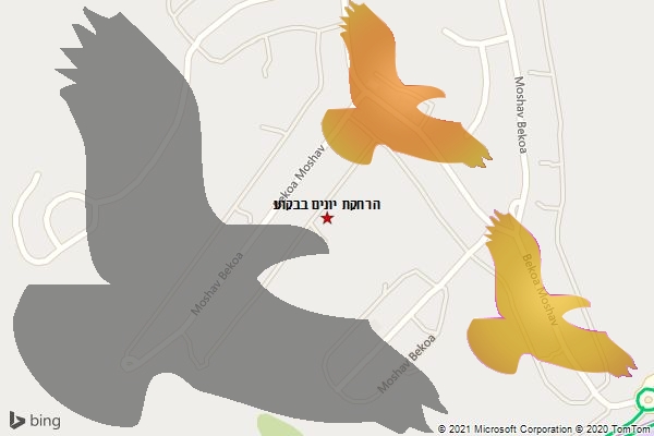 הרחקת יונים בבקוע