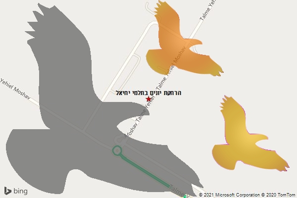 הרחקת יונים בתלמי יחיאל