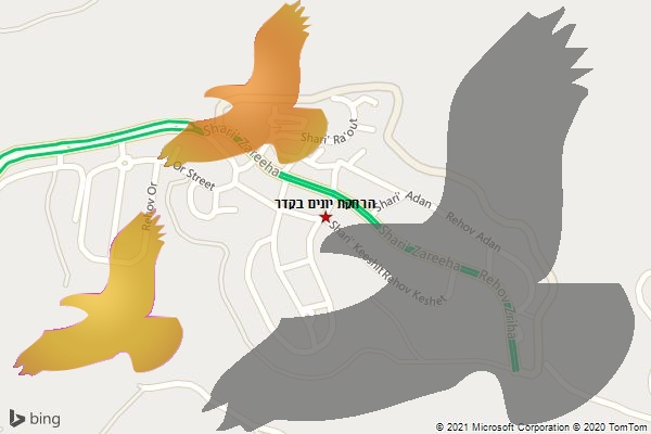 הרחקת יונים בקדר
