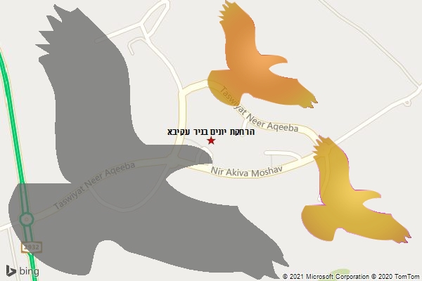 הרחקת יונים בניר עקיבא