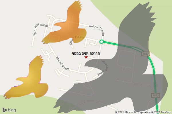 הרחקת יונים במנוף