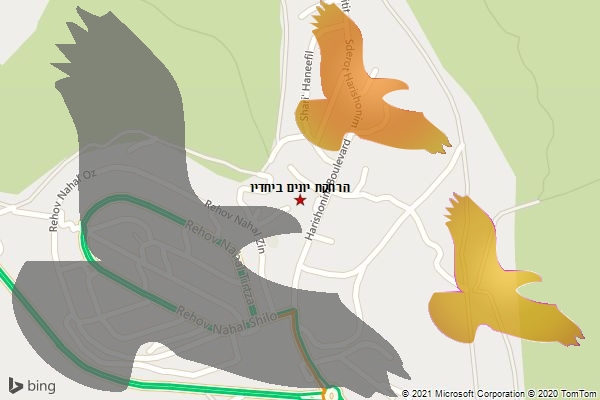 הרחקת יונים ביחדיו
