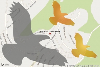 מרחיק יונים בכרמי יוסף - הרחקת יונים בכרמי יוסף