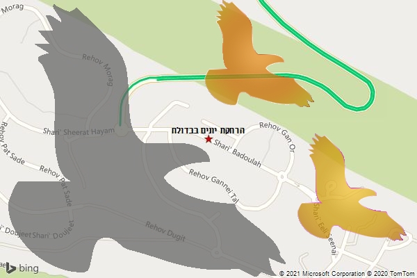הרחקת יונים בבדולח