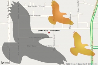מרחיק יונים בקריית בנימין - הרחקת יונים בקריית בנימין